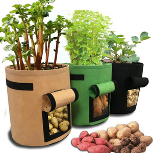 Image Title Fabric Pot (with handle & flap)