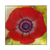 Lifester Coasters (Glass) Lifester Coasters (Glass)