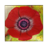 Lifester Coasters (Glass) Lifester Coasters (Glass)